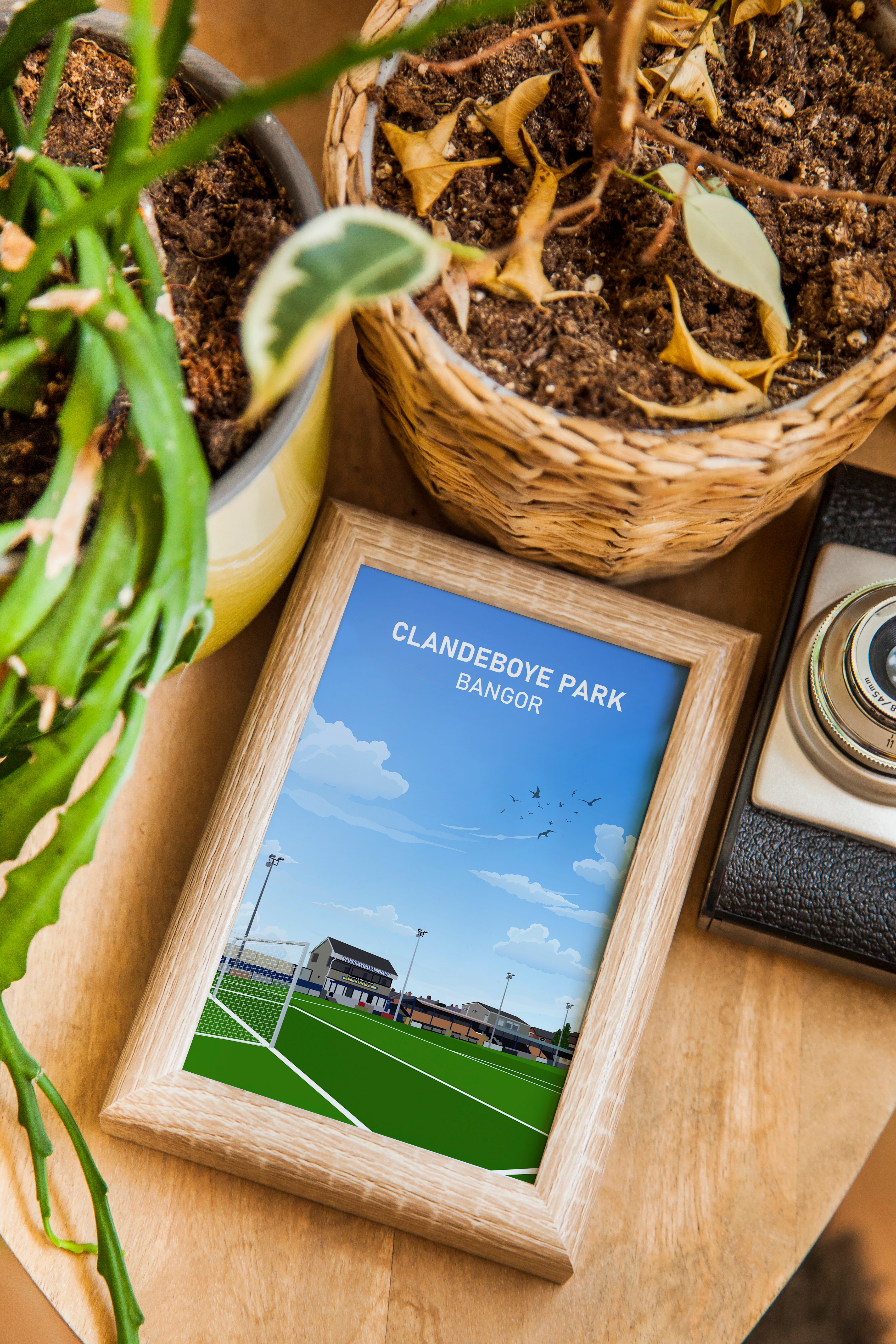 Bangor FC Clandeboye Park Heavyweight Art Print - Football Post - Perfect Gift - Birthday Present for Him
